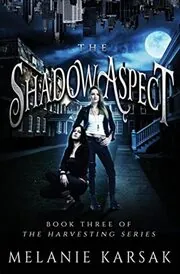 The Shadow Aspect