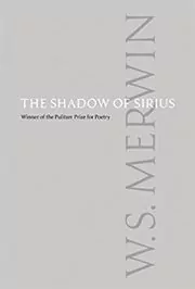 The Shadow of Sirius