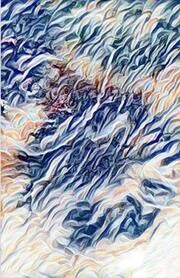 The Shadow of the Hawk / The Daughter of the Hawk