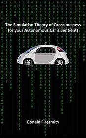 The Simulation Theory of Consciousness