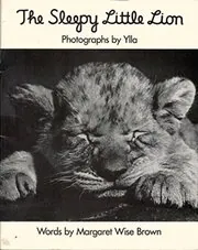 The Sleepy Little Lion