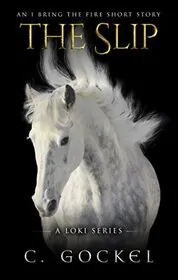 Book cover for "The Slip" by C Gockel
