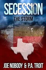 Book cover for "The Storm" by Joe Nobody