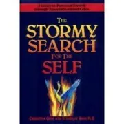 Book cover for "The Stormy Search for the Self"