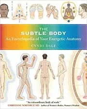 Book cover for "The Subtle Body" by Cyndi Dale