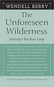 The Unforeseen Wilderness