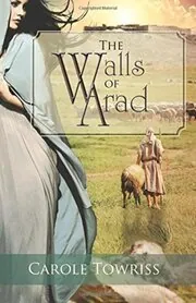 The Walls of Arad