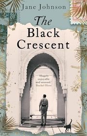 Jane Johnson book cover