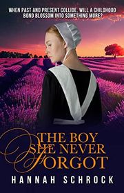 Book cover for "The Boy She Never Forgot" by Hannah Schrock