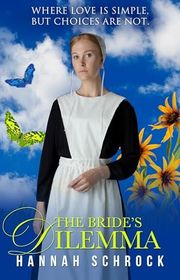 The Amish of Christmas Hollow book cover