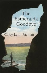Corey Lynn Fayman book cover