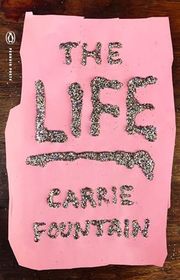 Carrie Fountain book cover