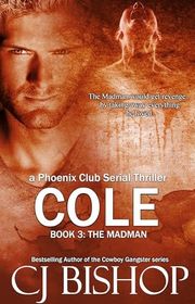 Book cover for "The Madman" by CJ Bishop