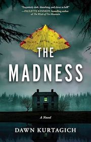 Book cover for "The Madness" by Dawn Kurtagich