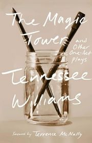 Book cover for "The Magic Tower"