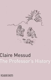 Book cover for "The Professor's History" by Claire Messud