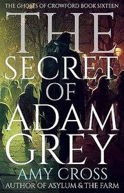 Book cover for "The Secret of Adam Grey" by Amy Cross