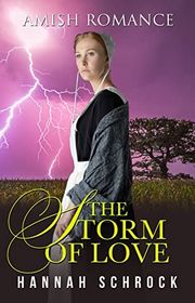 Book cover for "The Storm of Love" by Hannah Schrock