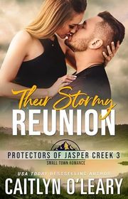 Book cover for "Their Stormy Reunion"