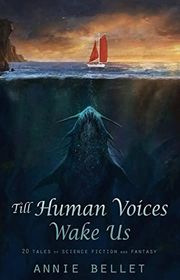 Book cover for "Till Human Voices Wake Us" by Annie Bellet