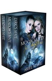 Book cover for "Tuesday's Mate" by Ariel Marie