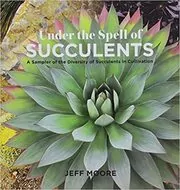 Book cover for "Under the Spell of Succulents" by Jeff Moore