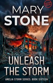 Amelia Storm book cover