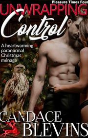 Book cover for "Unwrapping Control" by Candace Blevins