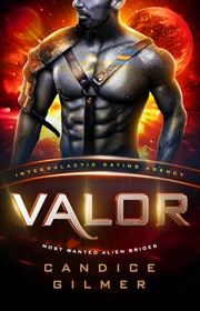 Book cover for "Valor" by Candice Gilmer