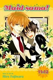 Book cover for "Vol. 11 & 12" by Hiro Fujiwara