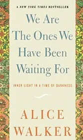 Book cover for "We Are The Ones We Have Been Waiting For"
