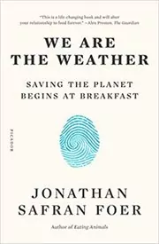 Jonathan Safran Foer book cover