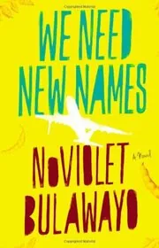 NoViolet Bulawayo book cover