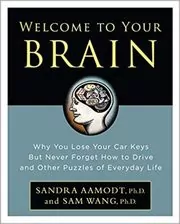 Welcome to Your Brain