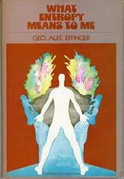 What Entropy Means to Me