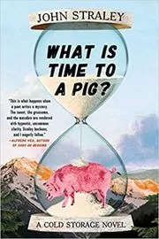 What Is Time to a Pig?