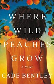 Abby L Vandiver book cover