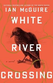 Ian McGuire book cover