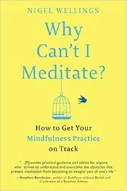Book cover for "Why Can't I Meditate?" by Nigel Wellings