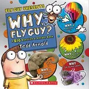 Why, Fly Guy?