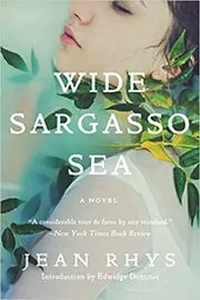 Book cover for "Wide Sargasso Sea" by Jean Rhys