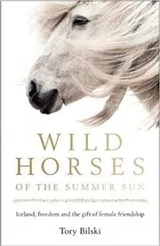 Book cover for "Wild Horses of the Summer Sun" by Tory Bilski