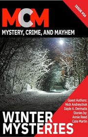 Book cover for "Winter Mysteries" by Scott William Carter