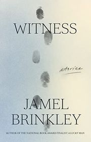 Book cover for "Witness" by Jamel Brinkley