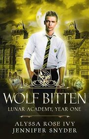 Lunar Academy book cover