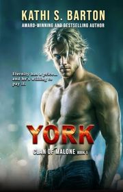 Book cover for "York" by Kathi S Barton