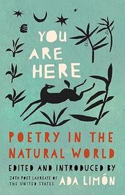 Book cover for "You Are Here" by Ada Limon