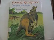 Young Kangaroo