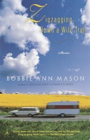 Book cover for "Zigzagging Down a Wild Trail" by Bobbie Ann Mason