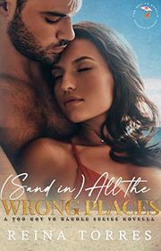 Book cover for "(Sand in…) All The Wrong Places" by Reina Torres